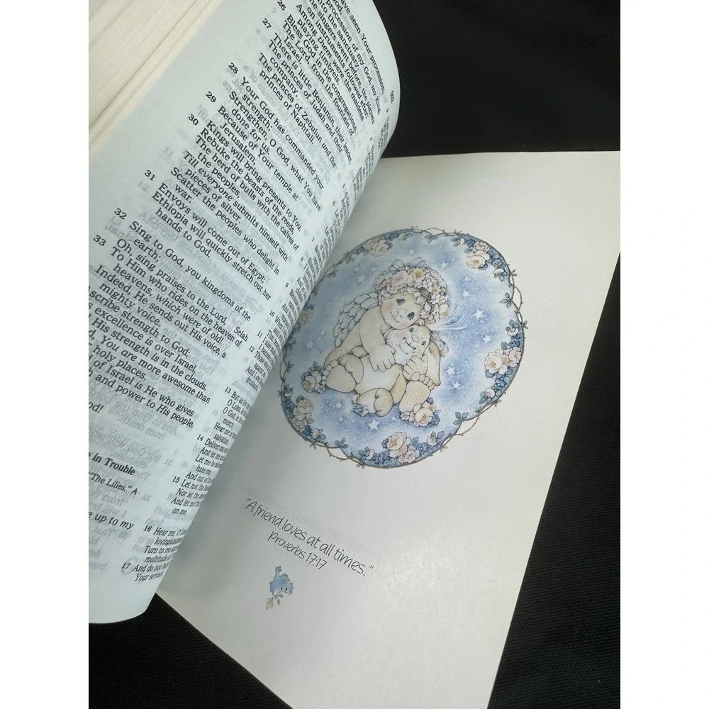 Dreamsicles Holy Bible King James Version 5